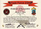 Task Force 2/24